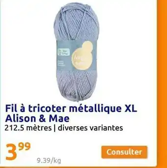 Action Fil à Tricoter Métallique Xl Alison & Mae offre