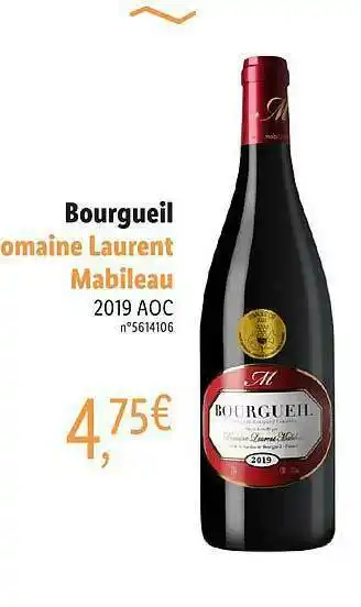 Lidl Bourgueil Domaine Laurent Mabileau 2019 Aoc offre