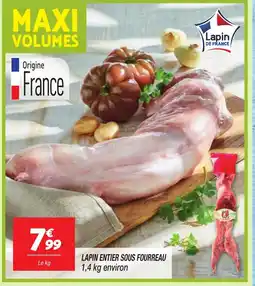 Netto Lapin entier sous fourreau offre