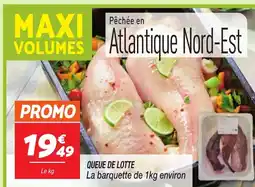 Netto Queue de lotte offre