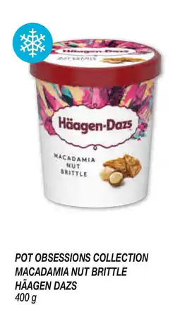 Netto Pot obsessions collection macadamia nut brittle häagen dazs offre