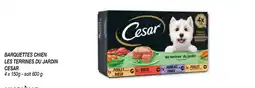 Netto Barquettes chien les terrines du jardin cesar offre