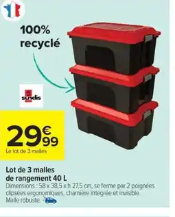 Carrefour Drive Lot de 3 malles de rangement offre