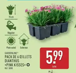 ALDI Pack de 6 œillets Dianthus 'Pink Kisses' offre