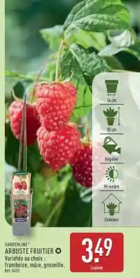 ALDI GARDENLINE Arbuste Fruitier offre