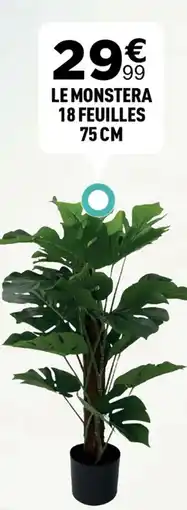 Le monstera 18 feuilles 75 cm