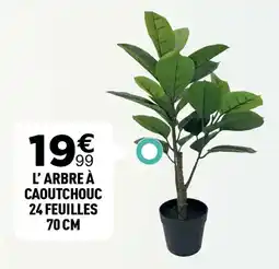 L'arbre à caoutchouc 24 feuilles 70 cm