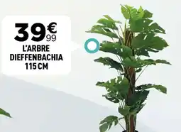 Centrakor L'arbre dieffenbachia 115 cm offre