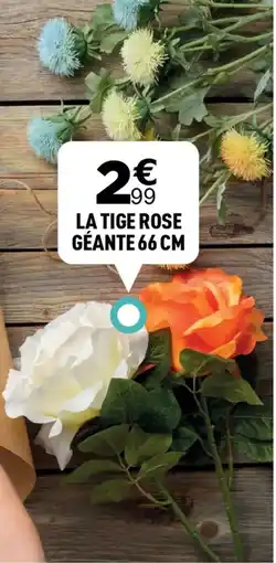 Centrakor La tige rose géante 66 cm offre