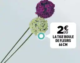 Centrakor La tige boule de fleurs 66 cm offre