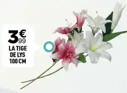 Centrakor La tige de lys 100 cm offre