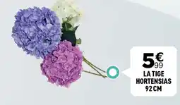 Centrakor La tige hortensias 92 cm offre