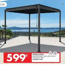 La Foir'Fouille Pergola hokia offre
