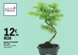 E.Leclerc Bonsai d'extérieur de 7 ans offre