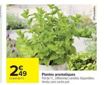 Carrefour Drive Plantes aromatiques offre