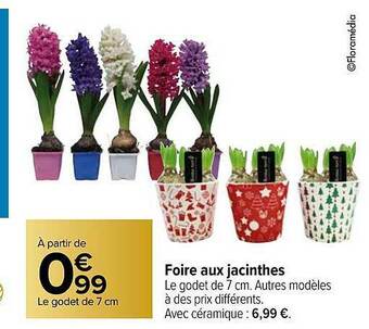 Carrefour Foire Aux Jacinthes offre