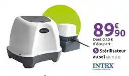 Mr Bricolage INTEX Stérilisateur au sel offre