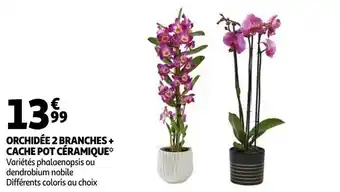 Auchan Orchidée 2 branches + cache pot céramique offre