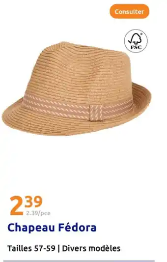 Action Chapeau fédora offre