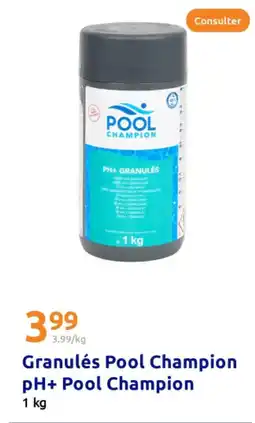 Action Granulés pool champion ph pool champion offre