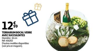 Auchan Terrarium bocal verre avec succulentes offre