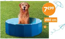 b&m Piscine pliable pour chien offre