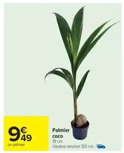 Carrefour Palmier coco offre