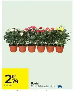 Carrefour Rosier offre