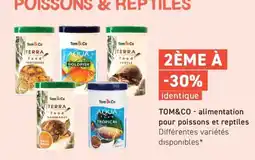 Tom&Co Tom&co offre