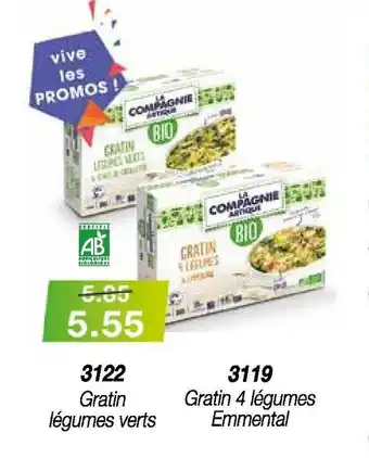 Croque Gel Gratin légumes verts offre