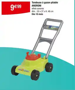 Carrefour Tondeuse à gazon pliable androni offre