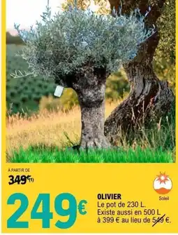 E.Leclerc Brico Olivier offre
