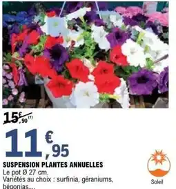 E.Leclerc Brico Suspension plantes annuelles offre