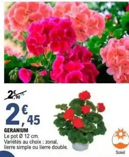E.Leclerc Brico Geranium offre