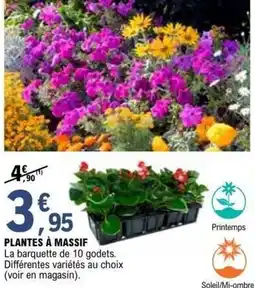 E.Leclerc Brico Plantes à massif offre