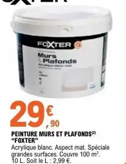 E.Leclerc Brico Peinture murs et plafonds foxter offre