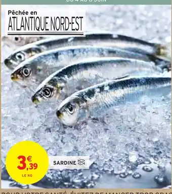 Intermarché Sardine offre