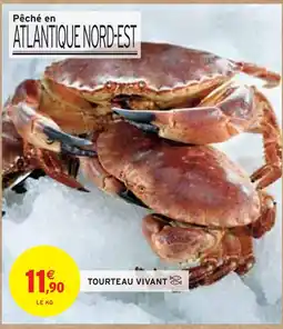 Intermarché Tourteau vivant offre
