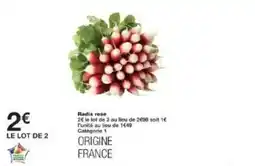 Monoprix Radis rose offre