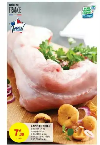 Lapin Entier