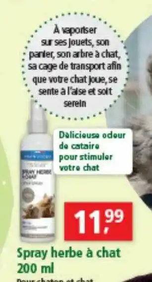Maxi Zoo Spray Herbe à Chat 200 Ml offre