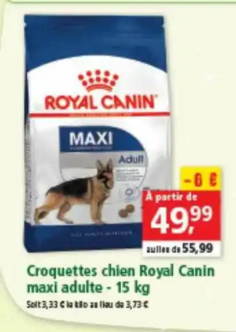 Maxi Zoo Croquettes Chien Royal Canin Maxi Adulte - 15 Kg offre
