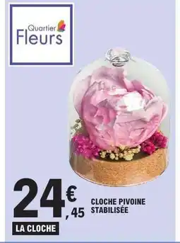 E.Leclerc CLOCHE PIVOINE STABILISÉE offre