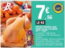 E.Leclerc Pintade Fermière Label Rouge Volaille du Maine IGP 'Loué' offre
