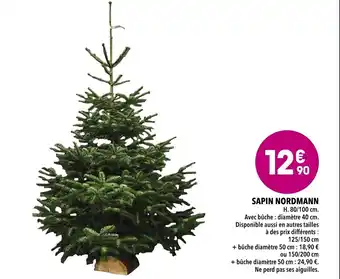 Supeco Sapin nordmann offre