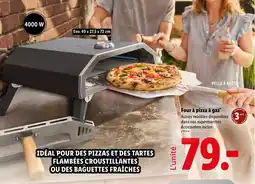 Lidl Four à pizza à gaz offre