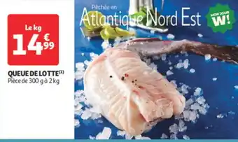 Auchan Supermarché Queue de lotte offre