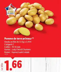 Lidl Pomme de terre primeur offre