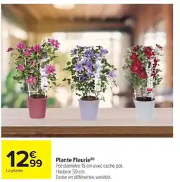 Carrefour Market Plante Fleurie offre