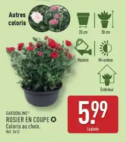 ALDI ROSIER EN COUPE offre